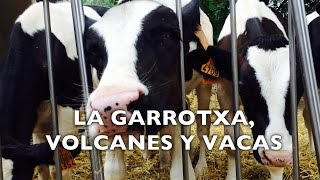 preview picture of video 'La Garrotxa y la Fageda, volcanes y vacas. Girona'