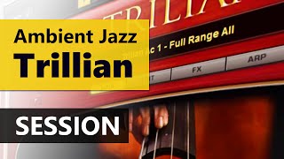 Video thumbnail for Ambient Jazz with 2CAudio B2, Trilian and Superior Drummer by Leon van Bokhorst