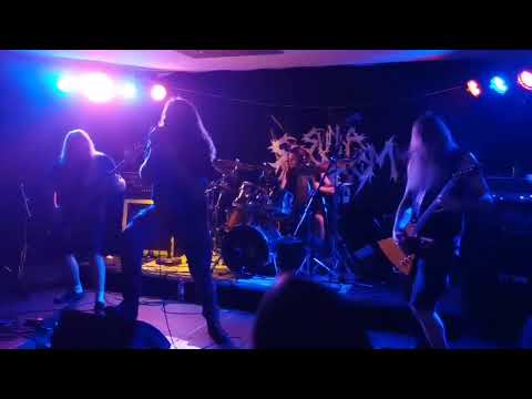 Schwarzer Delfin - Sunna Sepdoom live in Brackenheim