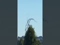 Su-25 Frogfoot Unleashes Massive Parachute Bomb Wave