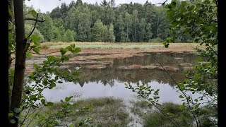 von Bockwitz nach Schmannewitz 8 Juli 2022