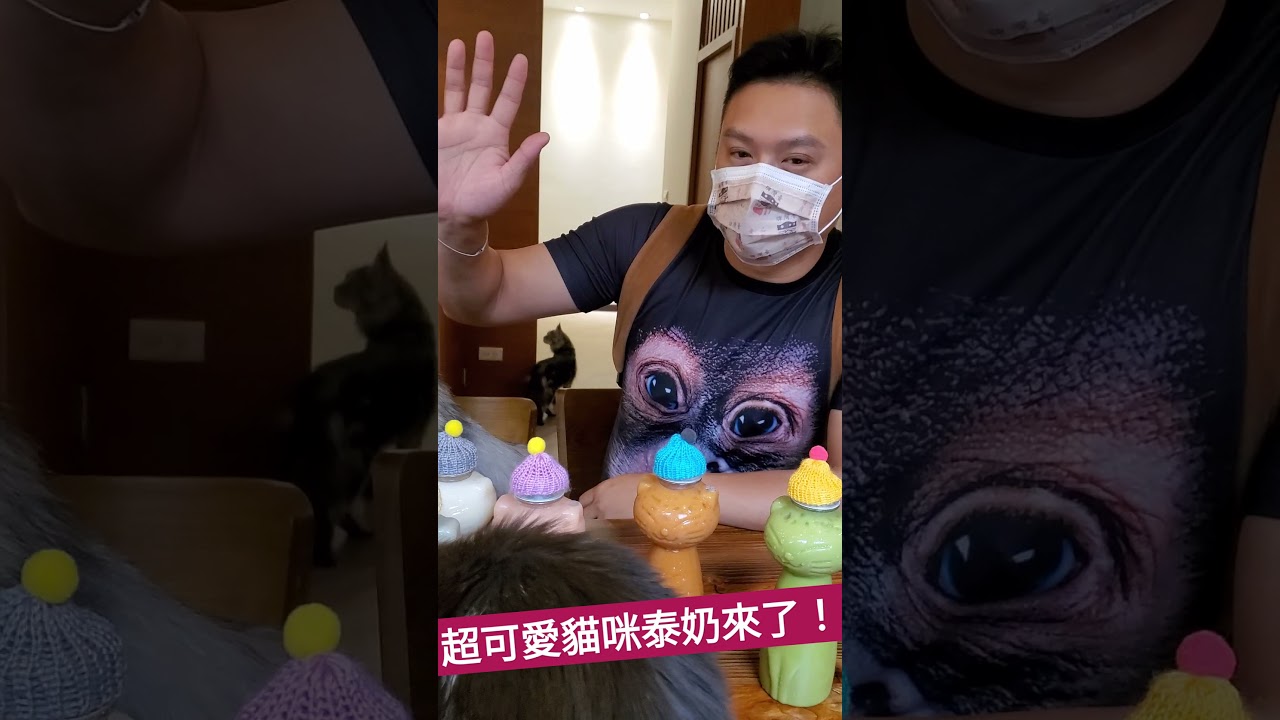 八德嚕貓餐廳！有超可愛的貓咪瓶泰奶！