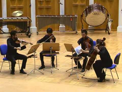 Mert KOCADAYI - String Quartet.avi