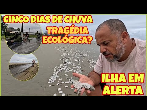 CINCO DIA DE CHUVA EM ILHA COMPRIDA / QUEBRANDO A ROTINA #ilhacomprida #litoral #praia