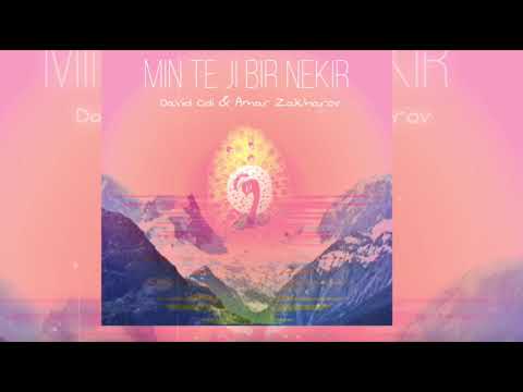 David Odi & Amar Zakharov - Min te ji bir nekir