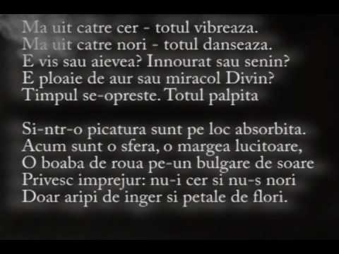 Arrest - Urme - Official Videoclip .... FRT LCI Max