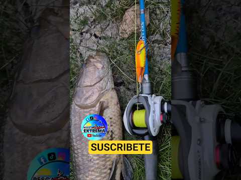 Pescando en una laguna en Progreso, Canelones