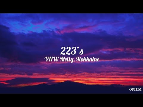 ynw melly - 223’s (feat. 9lokknine) (lyrics)
