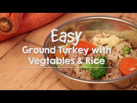 YouTube video about: What is turkey meal in dog food?
