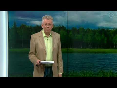 Pekka Pouta - Ministerit