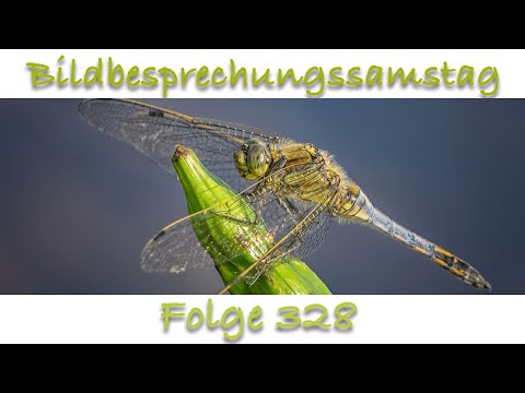 Bildbesprechung 328