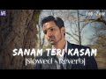 Sanam Teri Kasam Slowed Reverb Ankit Tiwari Palak Muchhal Lofi Zone