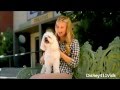 Caroline Sunshine And Pawley Hosting A Frankenweenie Night
