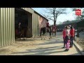 Vrijwilligers knappen manege in Emmen op