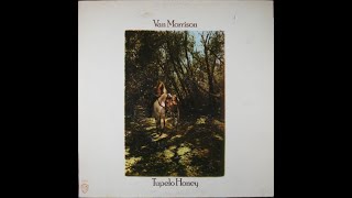 1971 - Van Morrison - When that evening sun goes down