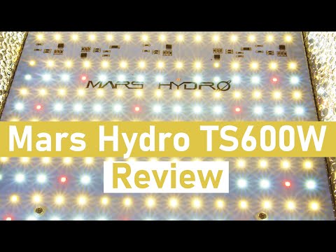 image-Are LED hydroponic lights any good?