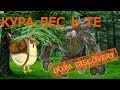 Dota 2 Discovery тини-Кура-Лес-те. StoneGiant лесной фармер ...