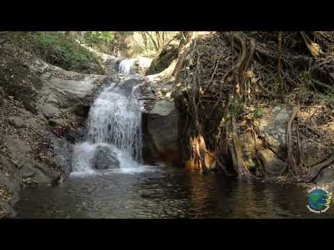 Hilari Henriques | Daily Devotional | Our High Calling 9/23/2022