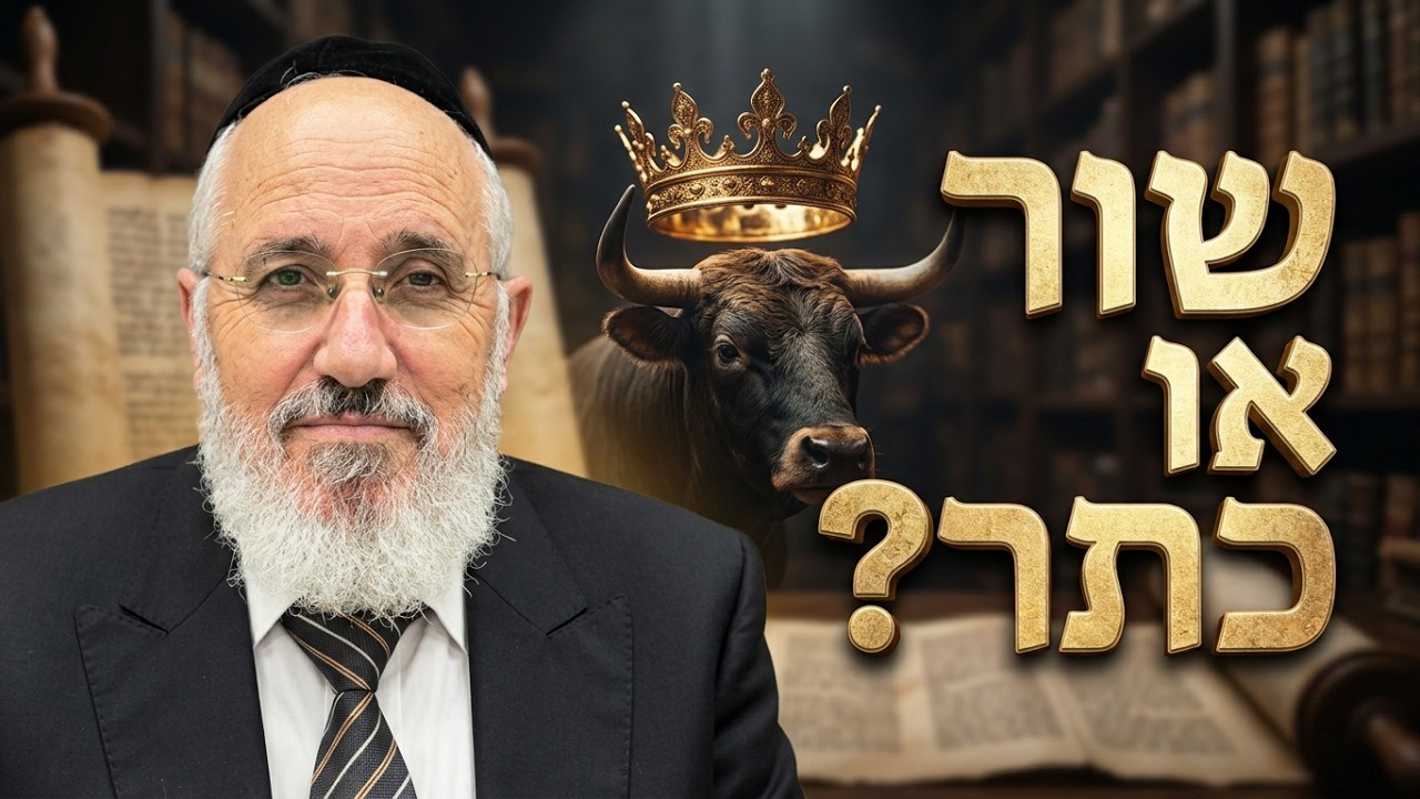 כי תבוא - כיצד הופך שור המזיק לכתר המקדש בביכורים? - הרב ציון כהן רבה של אור יהו