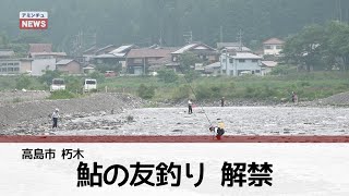 【アミンチュニュース】高島市朽木　アユの友釣り解禁