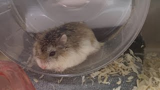 むーちゃん