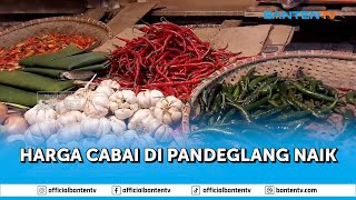 CUACA BURUK, HARGA CABAI KERITING - BAWANG MERAH DI PANDEGLANG NAIK