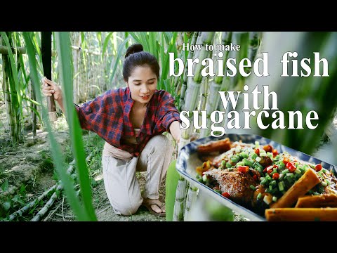 How to braised fish with sugarcane Delicious​ from cooking with Li E