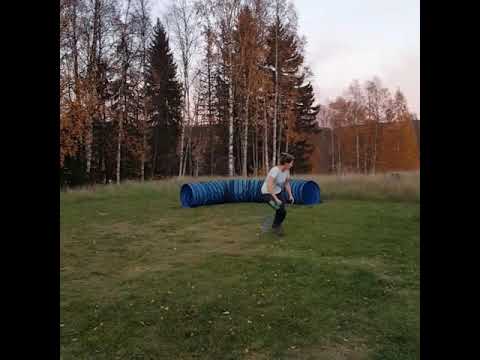Folke agilty