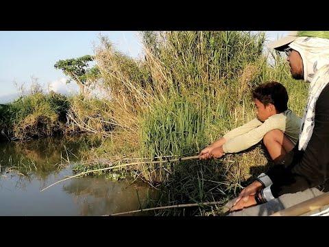 Ang lalaki ng mga huli namin | Pamimingwit ng hito at dalag | Buhay probinsya