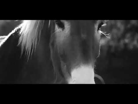 QUATTROTEQUE   Deep Space   #MillionRelease