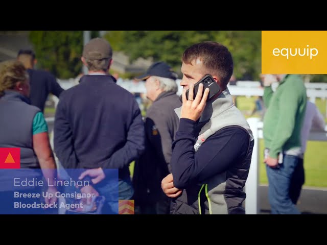  Bloodstock Agent & Breeze Up Consignor