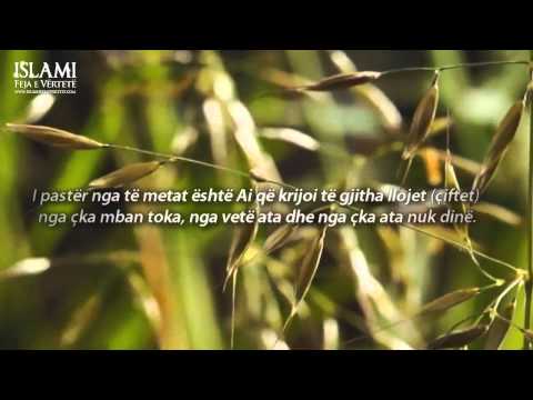Surja JA- SIN (31-40) - Mishary Rashid Al Afasy ᴴᴰ