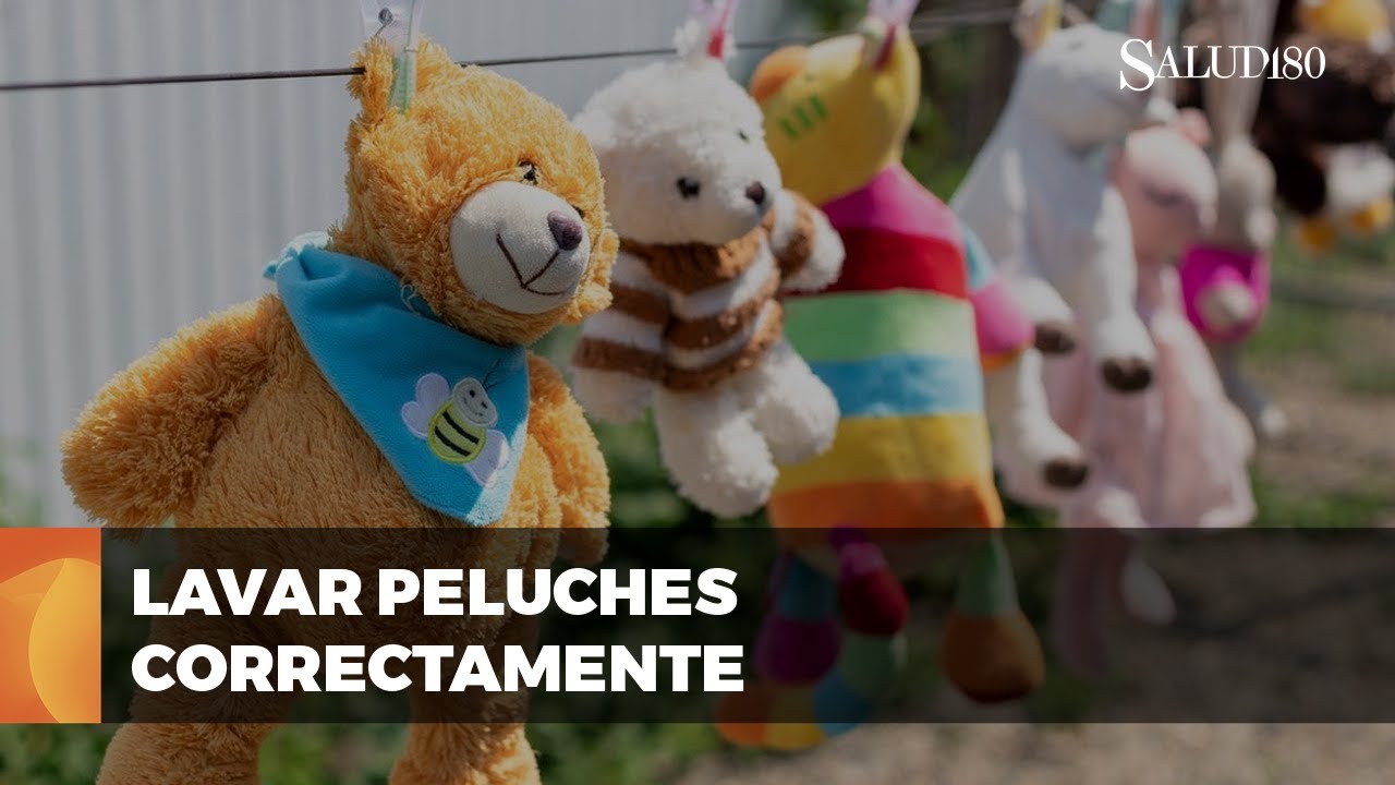 Cómo lavar peluches sin dañarlos y eliminar gérmenes