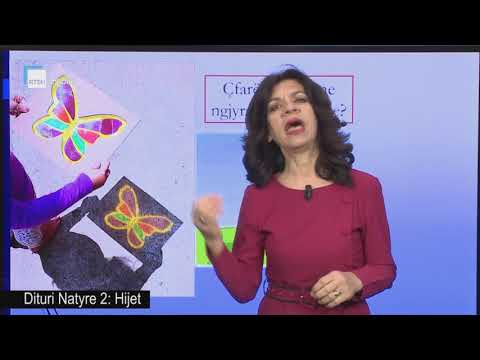 Dituri Natyre 2 - Hijet