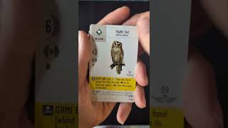 Wingspan video thumbnail