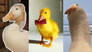 Miniature vidéo