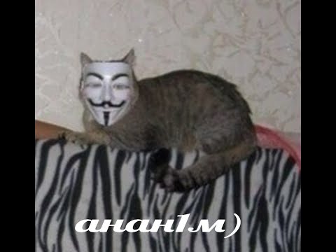 Crywolf - Eyes Half Closed +HDDT 98.71% SNIPE MREKK!!!!!!!!!!