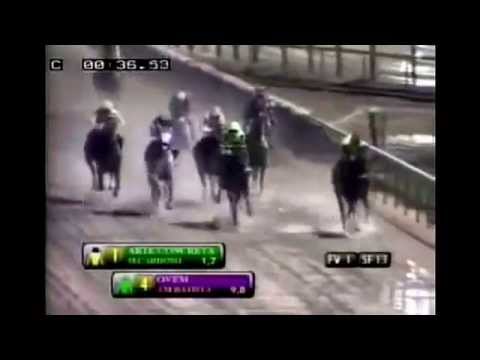 Arte Concreta ( horse without fear) 2