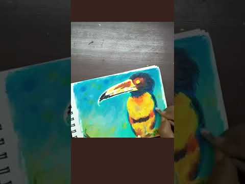 Did you know? Toucans are born blind | Learn how to draw Toucan bird easily #shorts #toucan #bird