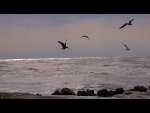 Mare d'AMARE - Videopoesia
