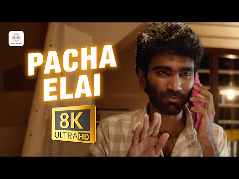 Love Today - Pacha Elai 8K/4K Video Song | Pradeep Ranganathan  | Yuvan Shankar Raja