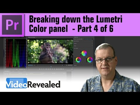Breaking down the Lumetri Color panel Part 1 of 6