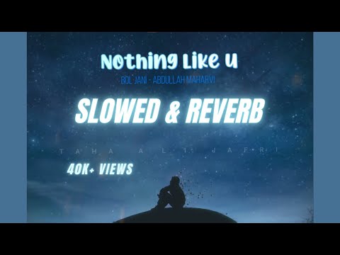 JANI & Abdullah Maharvi - nothing like u | Prod. by UMAIR (Slow and Reverb)