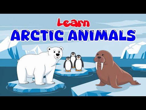 Learn About Arctic Animals | Fun and Educational Video for Kids