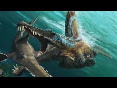 Was Spinosaurus Really A Swimming Dinosaur?