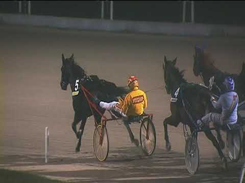 Trotto 04/12/2018 - 7ª corsa