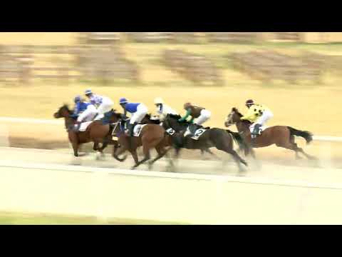 2022.08.31. 05. futam - DÁMAVERSENY HENDIKEP (V.o.) (szintetikus pálya)