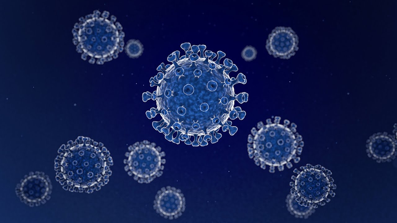 Study says coronavirus was present in U.S. in mid-December