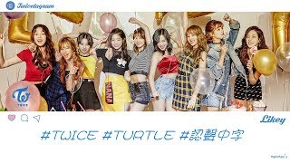 【認聲/繁中字】TWICE (트와이스) - TURTLE (거북이/烏龜)