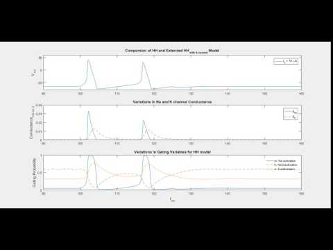 Hodgkin Huxley Active Neuronal Membrane Model